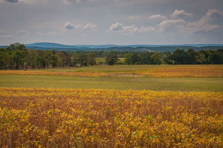 President Eisenhowers Farmfields, Gettysburg, Pennsylvania, USA