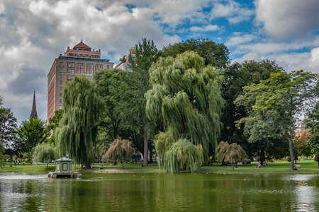 Late Summer in Bostons Public Gardens, Massachusetts, USAの写真素材