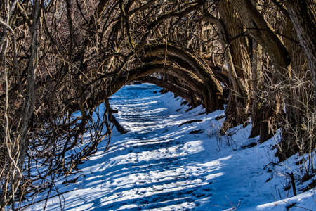 Hiking Trail In Nixon Park, Richard M Nixon County Park, York County, Pennsylvania, USAの写真素材