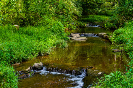 Placid Stream and Waterfalls, Richard M Nixon County Park, York County, Pennsylvania, USA