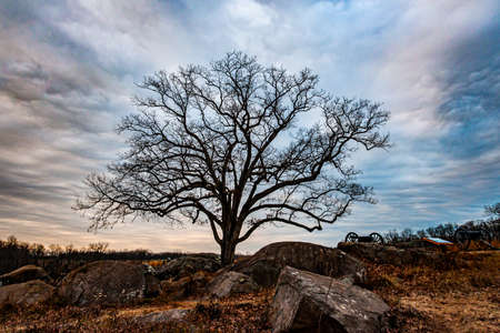 Witness Tree at Sunset, Devils Den, Gettysburg National Military Park, Pennsylvania USAの写真素材