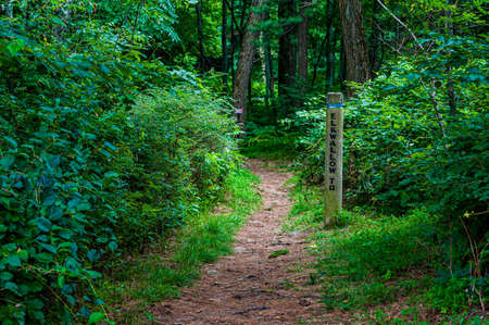 Hiking on the Elkwallow Trail, Shenandoah National Park, Virginia, USAの写真素材