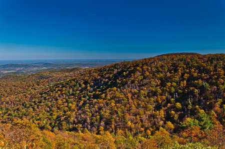 Blue Ridge Autumn, Shenandoah National Park, Virginia, USAの写真素材