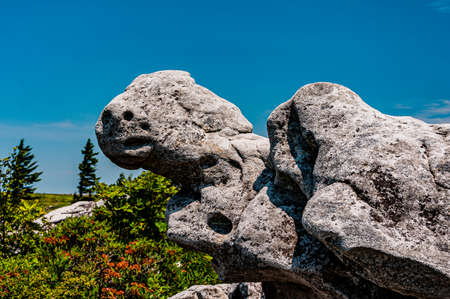 Photo of Weathered Rock Formation, Dolly Sods Wilderness, West Virginia USAの写真素材
