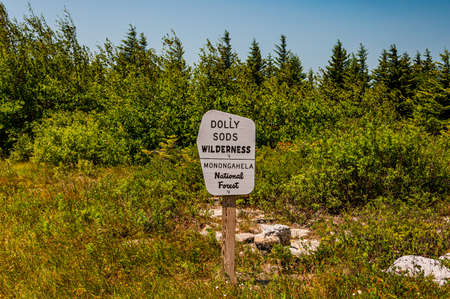 Photo of Dolly Sods Wilderness, Monongahela National Forest, West Virginiaの写真素材