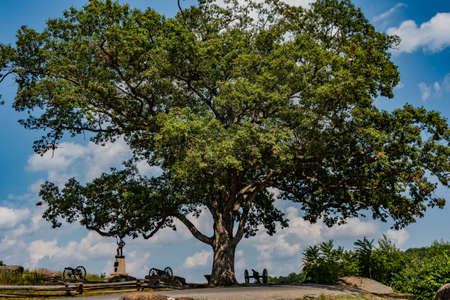 Witness Tree, Devils Den, Gettysburg National Military Park, Pennsylvania, USAのeditorial素材