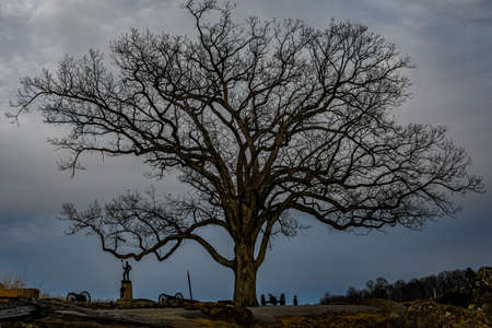 Photo of a Witness Tree, Devils Den, Gettysburg National Military Park, Pennsylvania USAのeditorial素材