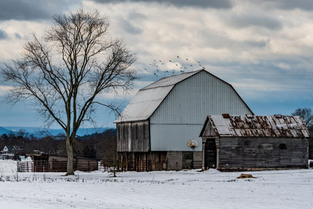 Gettysburg Barn in Winter, East Cavalry Field, Gettysburg National Military Park, Pennsylvania, USAのeditorial素材