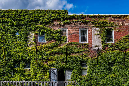 Ivy Covered Building, Huntingdon, Pennsylvania, USAのeditorial素材