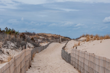 Walking to the Bay, Delaware, USA, Delawareのeditorial素材