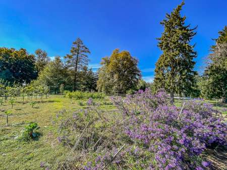 The Community Garden in October, York County Pennsylvania USAの写真素材
