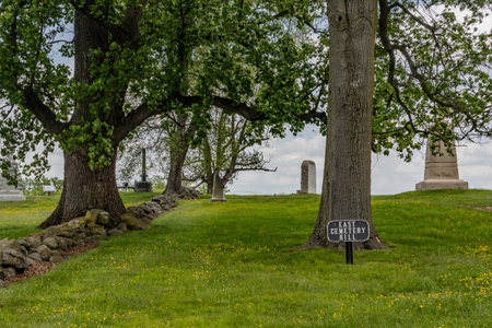 Buttercups on East Cemetery Hill, Gettysburg, PA USAのeditorial素材