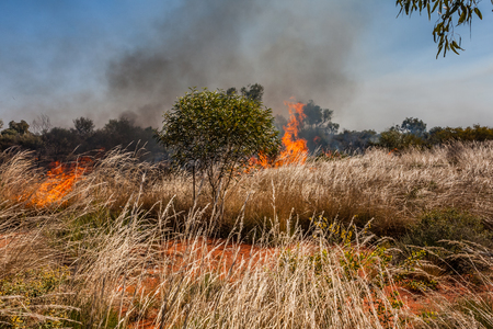 A bushfire in the Australian outbackの写真素材