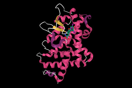 Thyroxine-thyroid hormone receptor interactions, 3D cartoon model, black backgroundの写真素材