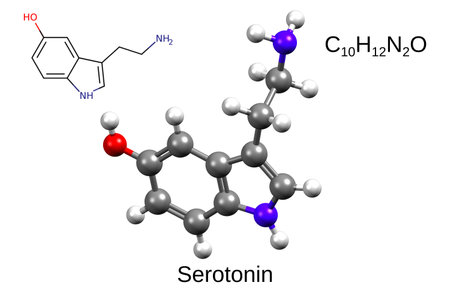 Chemical formula, skeletal formula and 3D ball-and-stick model of serotonin, white backgroundの写真素材