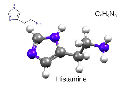 Chemical formula, skeletal formula and 3D ball-and-stick model of histamine, white backgroundの写真素材