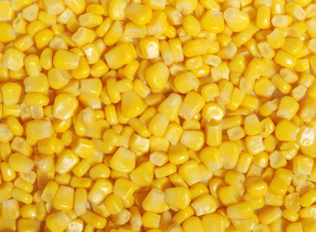 Sweet yellow appetizing and healthy maize background