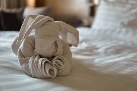 Fancy towel dog over white bed in  roomの写真素材