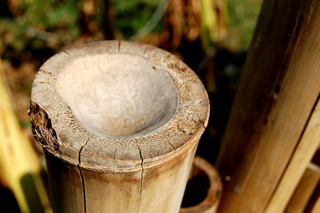 Top View Bamboo on Blur Backgroundの写真素材