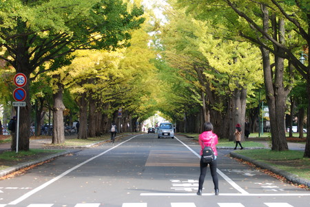 A girl in the middle of a road in order to take a photo with better composition, this photo is taking at Hokkaido University.の素材 [FY31091995264]