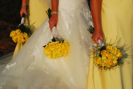 bride and bridesmaidsの写真素材