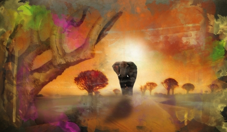 desert elephantの写真素材