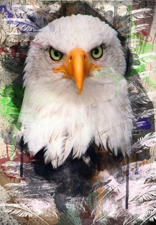 grunge bald eagleの写真素材