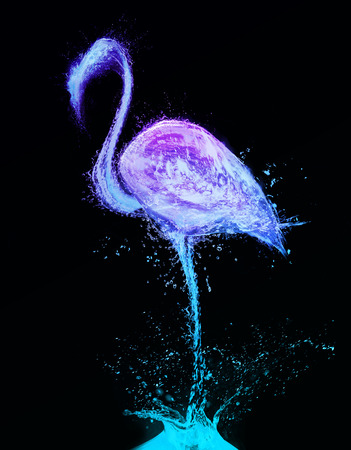 Flamingo Splash abstract water birdの写真素材