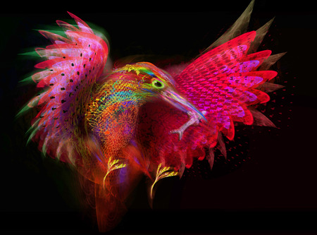 kingfisher  Abstract birdの写真素材