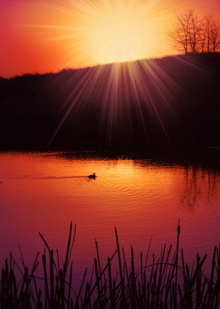 sunset at pondの写真素材