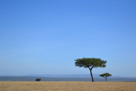Wild landscapeの写真素材