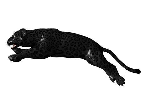 3D rendered image of Black panther on white background an isolatedの写真素材