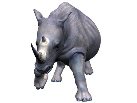 3D rendered model of african rhinoceros on white background isolatedの写真素材