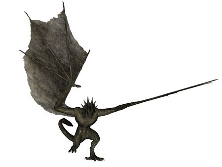 3D rendered fantasy wyvern on white background isolated.の写真素材