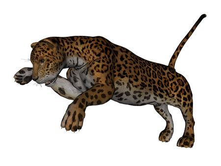 3D rendered jaguar on white background isolatedの写真素材