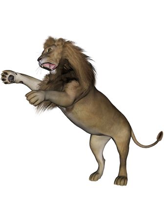 3D rendered lion male on white background isolatedの写真素材