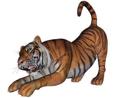 3D rendered tiger on white background isolatedの写真素材