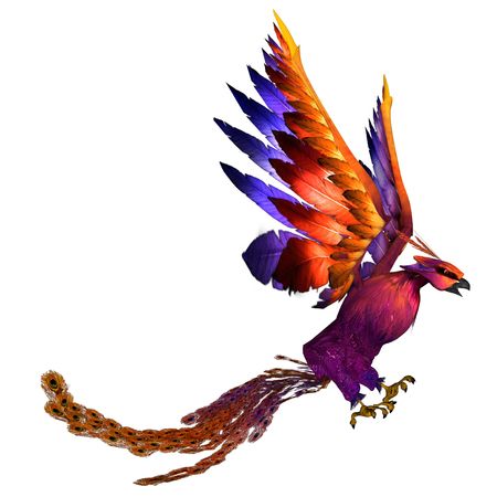 3D rendered fantasy phoenix bird on white background isolatedの写真素材