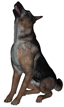 3D rendered German shepherd dog on white background isolatedの写真素材