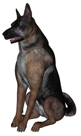 3D rendered German shepherd dog on white background isolatedの写真素材
