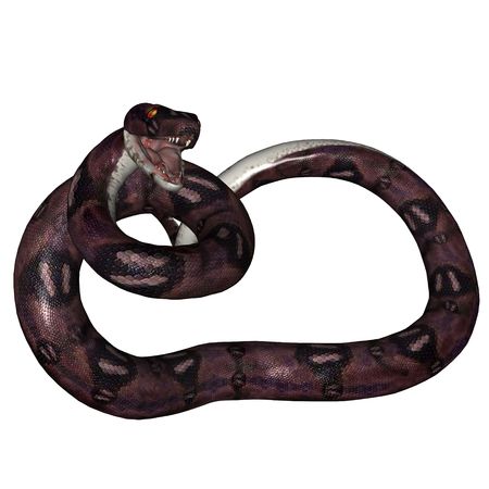 3D rendered snake on white background isolatedの写真素材