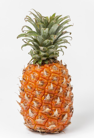 pineappleの写真素材