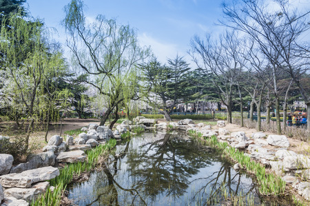 Parkのeditorial素材