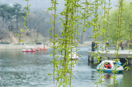 Lakeviewの写真素材