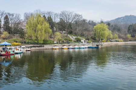 Lakeviewの写真素材