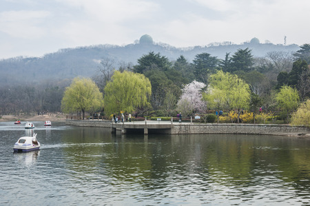 Lakeviewの写真素材