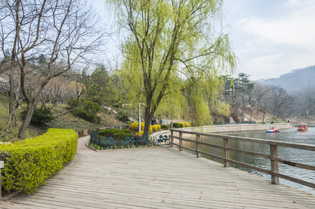 Park with lakeの写真素材