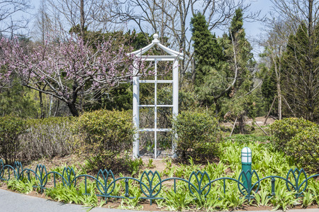 Parkの写真素材
