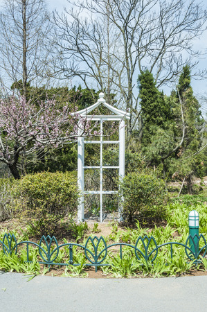 Garden pathの写真素材