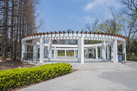 Piazzaの写真素材
